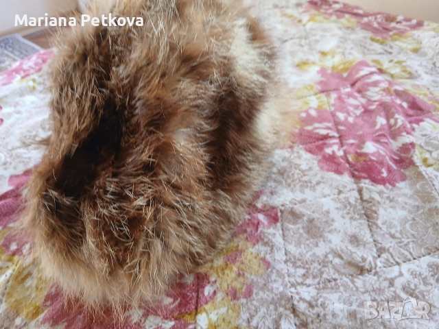 Зимна шапка от лисица, снимка 2 - Шапки - 52927608