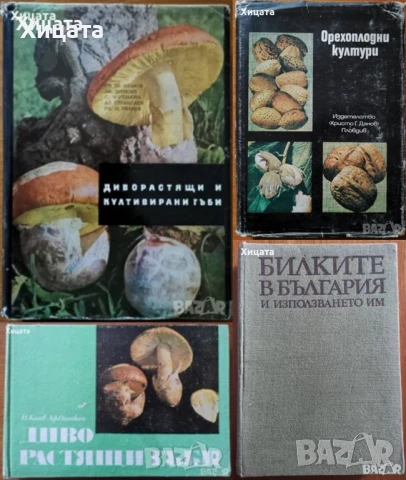 Цветя;Цветарство;Диворастящи и култивирани гъби;Орехоплодни;Камъни,кристали;Билки;Водорасли;Гъби   , снимка 7 - Енциклопедии, справочници - 34246502