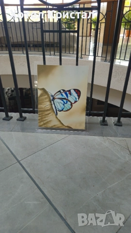 Разпродажба! Картини пеперуди, снимка 3 - Картини - 52328431