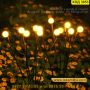 Водоустойчиви декоративни лампички за градина Светулки със соларен панел - КОД 3953, снимка 3