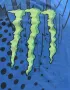 Monster x Fox Racing, снимка 4