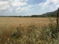 For Sale Investment Building Land 19021Sqm  By Owner Pomorie Bulgaria., снимка 3