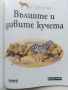 В света на - Вълците и дивите кучета - 2003г., снимка 2