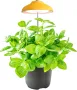 Egle Plant Lamp - LED светлина за растеж на растения на закрито НОВА, снимка 1