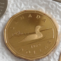 Лот монети 12 броя Канадски долари, центове непипани мат гланц перфектно състояние 42640, снимка 4 - Нумизматика и бонистика - 45020887