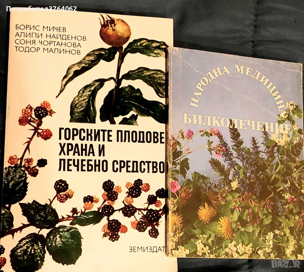 Народна медицина. Билколечение Йохан Кюнцле , Горските плодове - храна и лечебно средство,, снимка 1