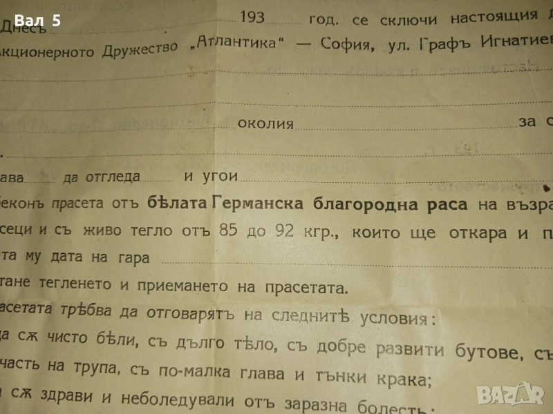 Договор за изкупуване на прасета 193... година . Интересен, снимка 1