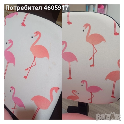 Почистване / Пране на мека мебел и автомобили с професионален Екстрактор KARCHER, снимка 6 - Почистване на домове - 51850453