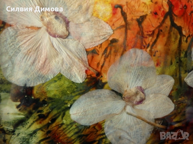 Орхидеи за подарък, снимка 4 - Ръчно изработени сувенири - 51484605