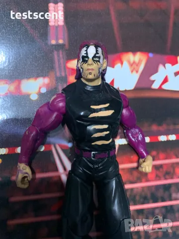 Екшън фигура WWE Jeff Hardy Deluxe Aggression Fully Customized Джеф Харди Делюкс играчка purple, снимка 2 - Колекции - 48361524