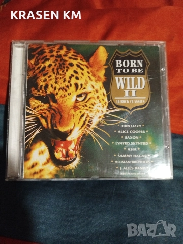 сд дискове , снимка 15 - CD дискове - 52888877