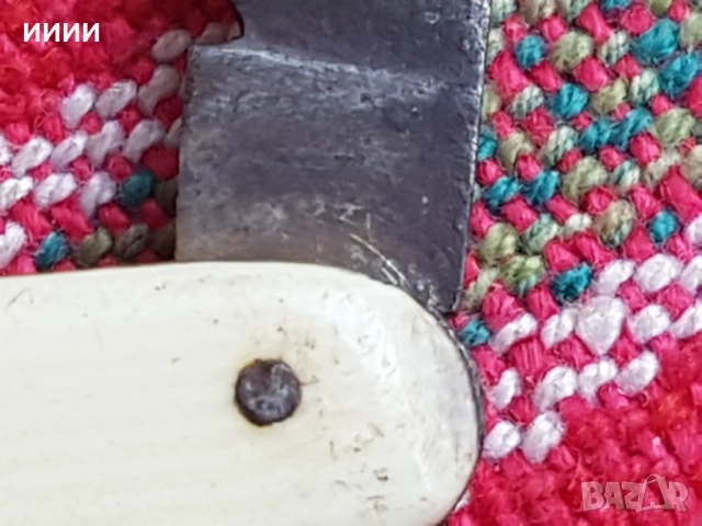 Ножка слонова кост 2, снимка 4 - Антикварни и старинни предмети - 53837167