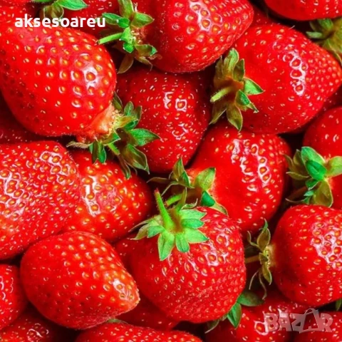 100 бр. ягодови семена от гигантска ягода градинско плодово растение сладки и вкусни червени ягоди, снимка 9 - Сортови семена и луковици - 50619114