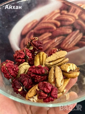 Първокачествени орехови фиданки Фернет, Франкет, Фернор, Чандлър И ОЩЕ, снимка 3 - Разсади - 52581268