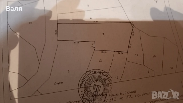 ,Продавам черешови насаждения в с.Лелинци, снимка 4 - Земеделска земя - 53954905