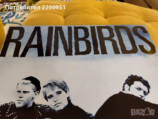 RAINBIRDS, снимка 2 - Грамофонни плочи - 49758973