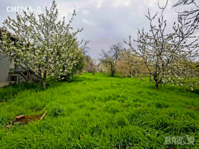 Къща голям двор в с. Пленемир , снимка 3 - Къщи - 52562625