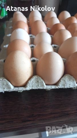 Яйца от свободно отглеждани кокошки , снимка 2 - други­ - 45711228