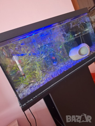 Aквариум AquaEL SET LEDDY DAY&NIGHT 54 литра, снимка 2 - Аквариуми - 54118409