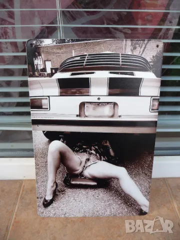 Метална табела Мацка с изрязани дънки токчета ремонтира кола еротика