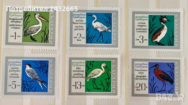 2664. България 1968- - БК 1903 /08 : ” Фауна. Птици от Резервата “ Сребърна ”, **, МNH