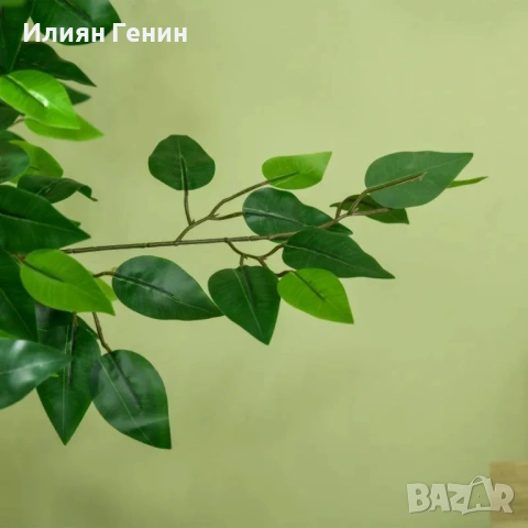 HOMCOM Фикус - изкуствено растение, снимка 4 - Изкуствени цветя - 53627158