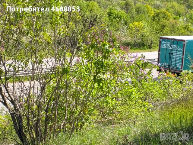 Земеделска земя гр. Дебелец, снимка 5 - Парцели - 54292349