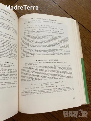 Високопланинските растения в България Н. Стоянов, Б. Китанов, снимка 6 - Енциклопедии, справочници - 46945924