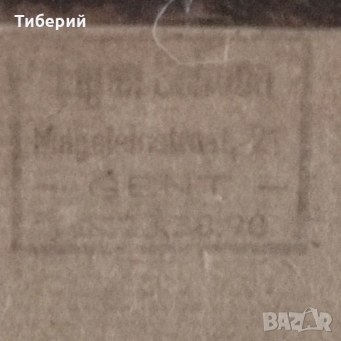  Порцеланово пано, снимка 2 - Картини - 51982660