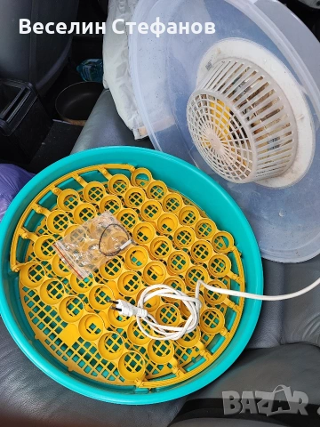 инкубатор 51 яйца