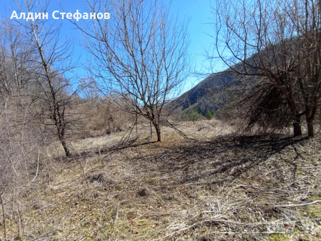 село Заселе Продавам голям парцел, снимка 7 - Парцели - 40489216