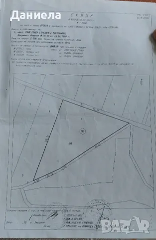 Лозе, снимка 1 - Земеделска земя - 47068276