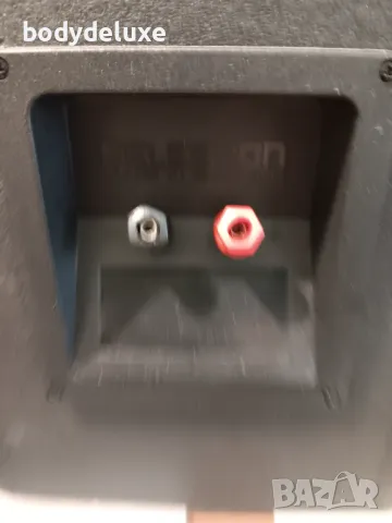 celestion 3 legend двулентови тонколони, снимка 4 - Тонколони - 30429953