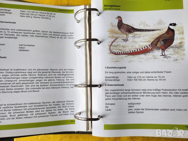 Декоративни птици - Немски стандарт (официален), цветен, над 300 вида описани, критерии за оценка..., снимка 4 - Енциклопедии, справочници - 52341558