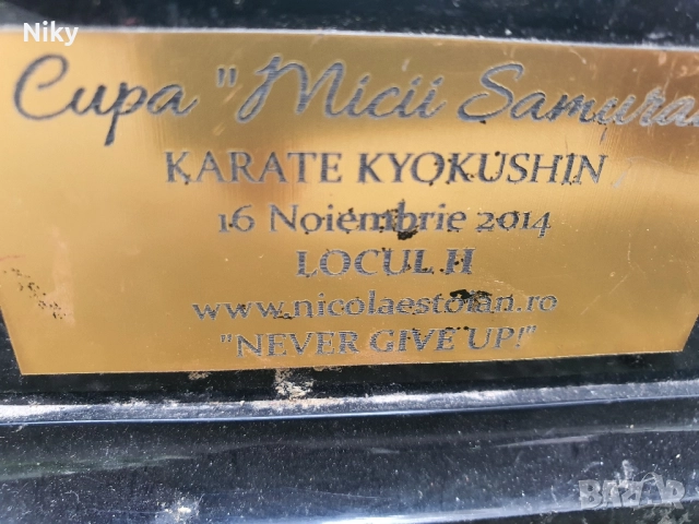 Спортна купа по карате , снимка 2 - Колекции - 51634619