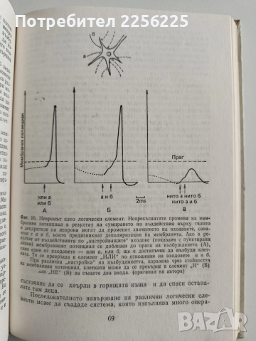 Мозъкът, снимка 3 - Специализирана литература - 52964378