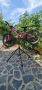 Стойка за ремонт на велосипеди сгъваема, регулируема въртене 360 градуса, снимка 11