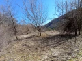 село Заселе Продавам голям парцел, снимка 7