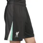 Мъжки шорти Nike Liverpool F.C. 2024/25 Stadium Away FV7037-321, снимка 3