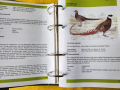 Декоративни птици - Немски стандарт (официален), цветен, над 300 вида описани, критерии за оценка..., снимка 4