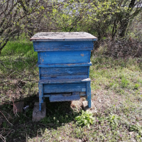 Продавам пчелни кошери , снимка 3 - За пчели - 45053425