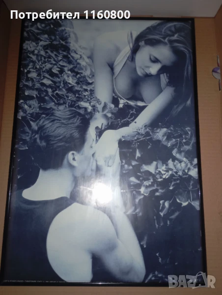 Картина, снимка 1