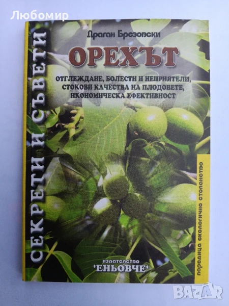 Орехът , снимка 1