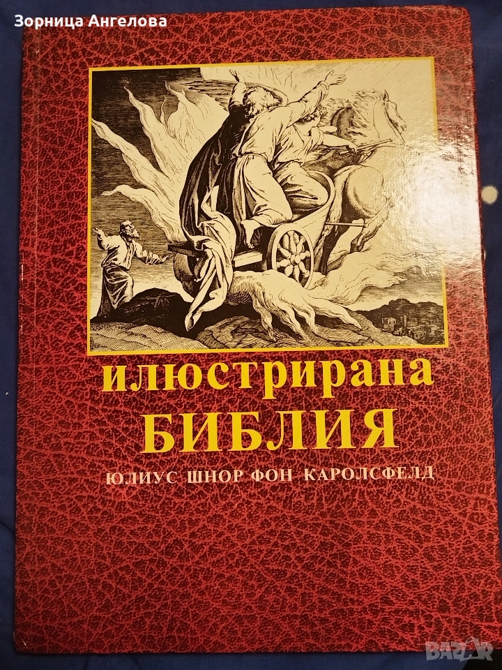 Илюстрирана Библия“ с 240 класически гравюри на дърво от Юлиус Шнор фон Каролсфелд, 1993 г. , снимка 1
