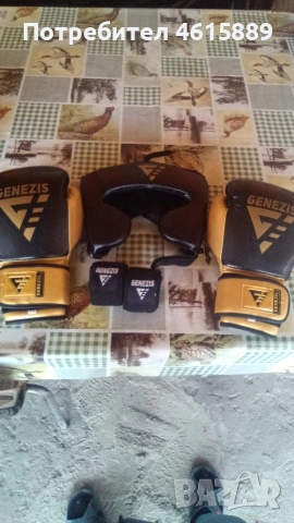 Genezis ръкавици 