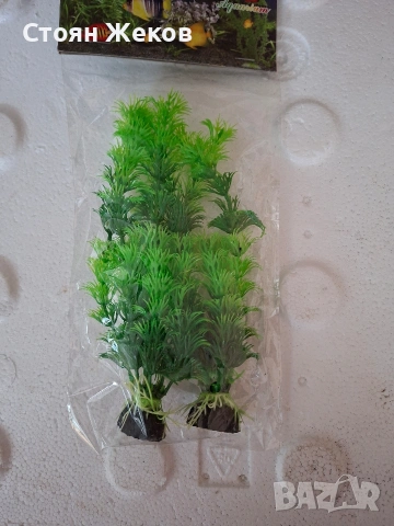 продавам аквариумни растения.