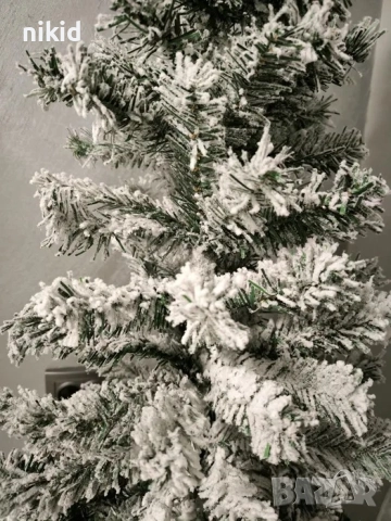 Елха Заскрежена заснежени бели връхчета заснежен ефект, снимка 3 - Декорация за дома - 52713567