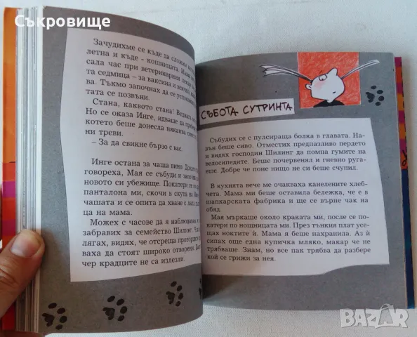 Детска книжка: Дагмар Гайслер -Тайният дневник на Ванда, снимка 4 - Детски книжки - 47862502