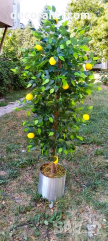 Изкуствено дърво Портокал/Лимон