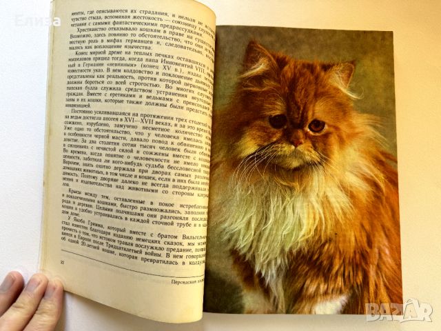 Кошка в вашем доме - Николай Непомнащий, снимка 5 - Енциклопедии, справочници - 45771027